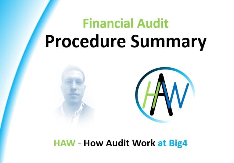 Audit Procedures Summary