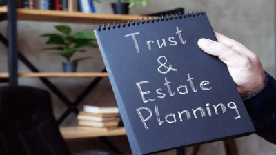 Understanding New Zealand Estate and Trust Tax Returns 2024