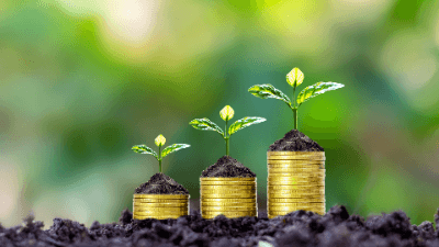 Foreign Investment Funds: Practical Insights for Compliance