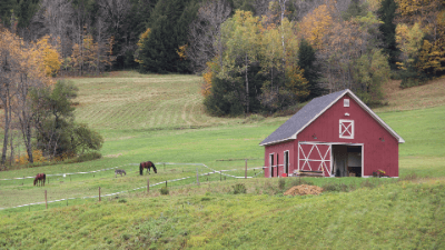 Rural Tax Advanced - Dissolution & Changes in Ownership