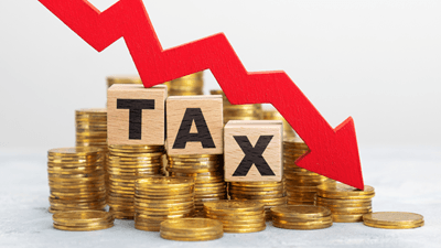 Investment Portfolios & Foreign Investment Funds