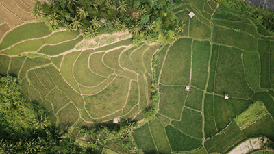 Rural Tax Advanced 3 - Subdivision of Rural Land