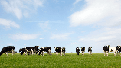 Rural Tax: Policy Changes and Emerging Trends