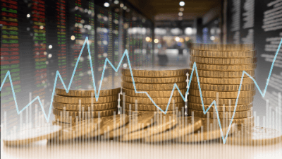 Investment Portfolios and Foreign Investment Funds