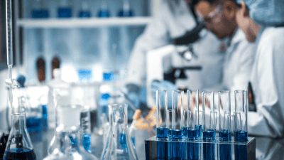 Research & Development: Tax Incentives & Tax Loss Cash Out