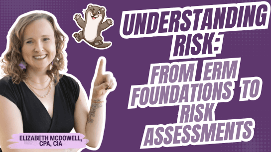 Understanding Risk: From ERM Foundations to Risk Assessments