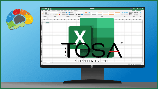 Learning Excel 2019 - Basics (TOSA)